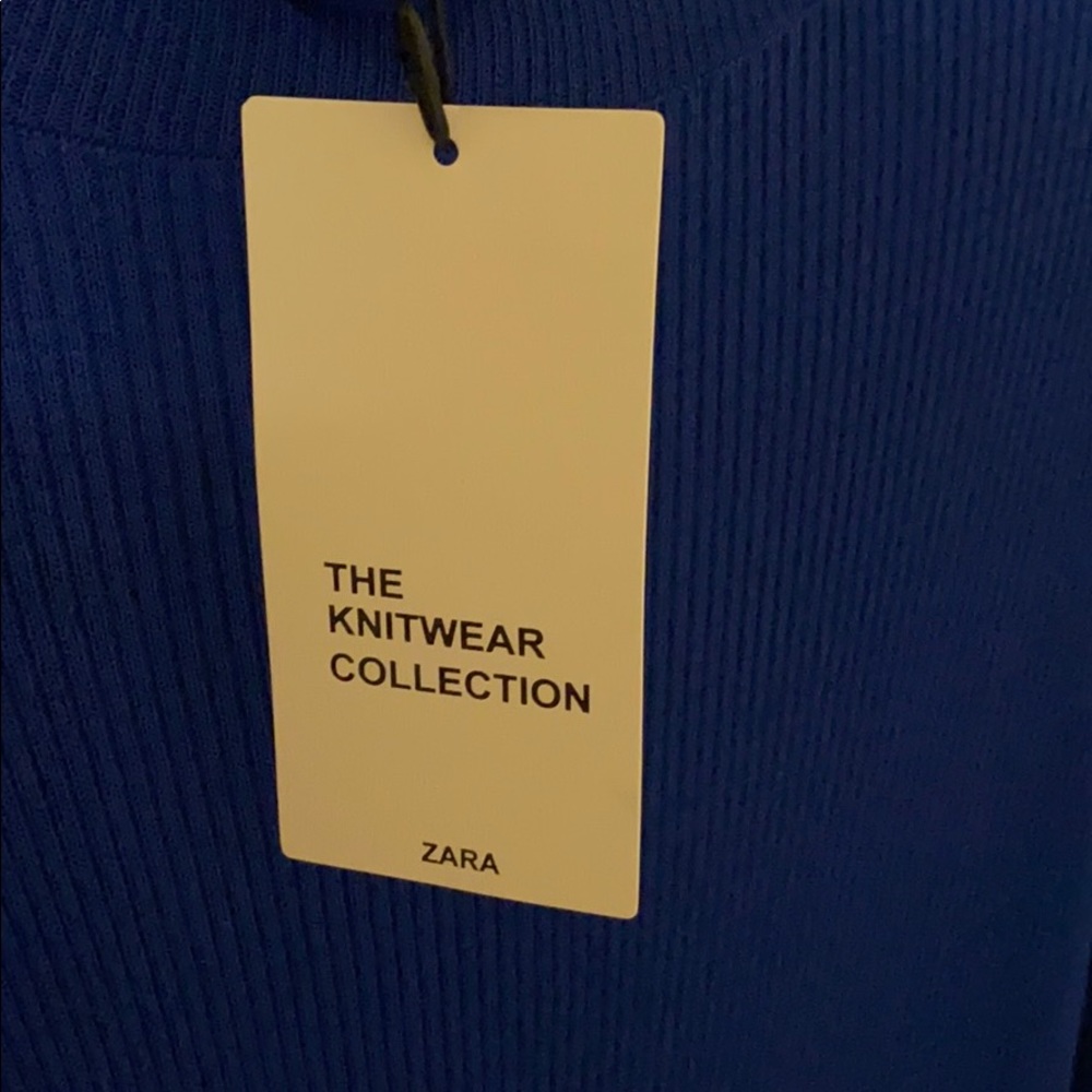 Zara Turtleneck Maxi Bodycon Dress